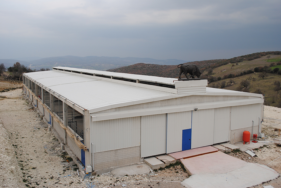 BÜYÜKBAŞ HAYV. TESİSLERİ